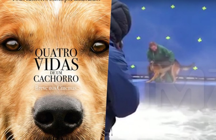 quatro-vidas-de-um-cachorro.jpg